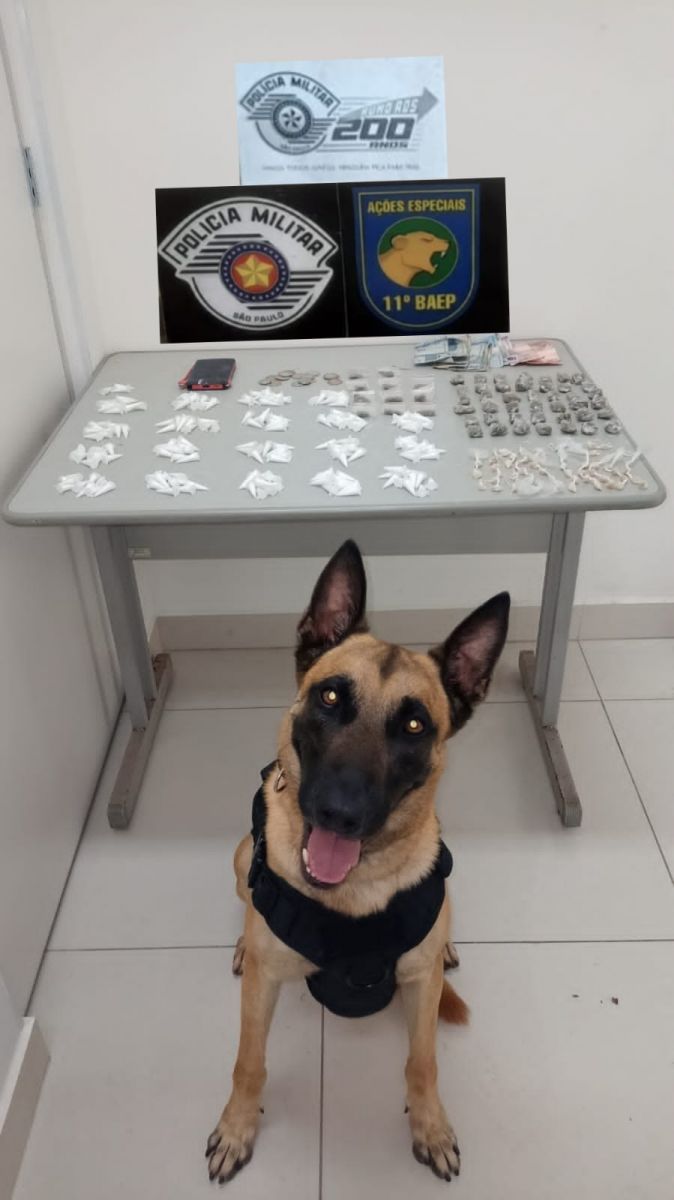 Cão Spark/ Drogas apreendidas  